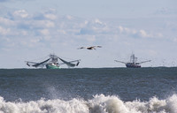  Shrimp trawlers bring in the catch for which South Padre Island, Texas, is famous. Photo courtesy of Charles Lytton/Dreamstime.com. 