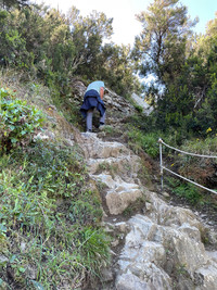 . Rugged and extremely steep paths connect the five villages of Cinque Terre in Italy. Photo courtesy of Lesley Sauls Frederikson. 