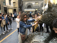  Visitors who rub the nose of Il Porcellino, a sculpture in the Mercato Nuovo in Florence, Italy, are said to be sure of a return trip. Photo courtesy of Lesley Sauls Frederikson. 