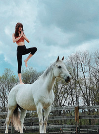 Horses at Hallway Feeds in Lexington, Kentucky, are trained to guide yoga participants in a variety of poses. Photo courtesy of Hallway Feeds/Visit LEX.