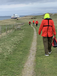 Stranded Hurtigruten passengers walk across a cow pasture on the Scottish island of Iona to get to their ship. Photo courtesy of Sharon Whitley Larsen.
