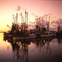  A sunset behind shrimp boats emphasizes the beauty of Amelia Island, Florida. Photo courtesy of Victor Block. 
