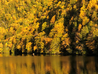  The drive through Pennsylvania, New Jersey and New York to find colorful autumn leaves yields idyllic scenes such as this one. Photo courtesy of Bill Neely. 