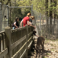 . A group visiting the Bay Beach Wildlife Sanctuary in Green Bay, Wisconsin, offer treats to a deer. Photo courtesy of Lesley Frederikson. 