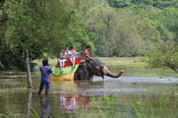  Single travelers enjoy riding an elephant during a safari. Photo courtesy of Victor Karasev/Dreamstime.com. 