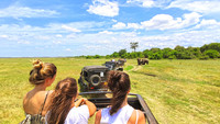  Joining a safari is one way single travelers can share this experience with other like-minded people. Photo courtesy of Victor Karasev/Dreamstime.com Phototrip/Dreamstime.com. 