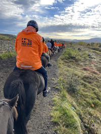  Visitors to Iceland learn to tolt on a morning ride across the lava fields. Photo courtesy of Lesley Frederikson. 