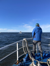 . A visitor watches the water for white-beaked dolphins and minke whales off the coast of Reykjavik, Iceland. Photo courtesy of Lesley Frederikson. 