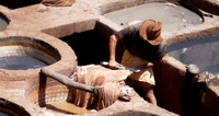  A worker tans hides at the Chouara Tannery in Fes, Morocco. Photo courtesy of Phil Allen. 