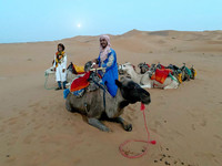  Camels in the Sahara wait for the riders they will take into the desert. Photo courtesy of Phil Allen. 