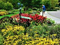  The botanic garden at Cornell University is a must-see for visitors to Ithaca, New York. Photo courtesy of Victor Block. 