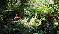 A visitor stops to enjoy the lush foliage on the Caribbean island of St. Lucia. Photo courtesy of Victor Block. 