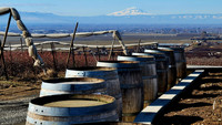  The Yakima Valley, with Mount Rainier in the distance, is one of Washington state's fastest-growing wine regions. Photo courtesy of Jim Farber. 