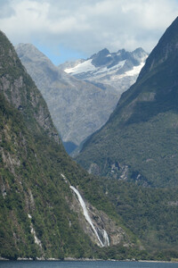  Holland America's Noordam sails through the Milford Sound fiord in New Zealand. Photo courtesy of Barbara Selwitz. 
