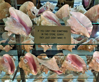  A sign in the World's Largest Shell Store in Bonita, Florida, gives a clue about the number of products they carry. Photo courtesy of Victor Block.  