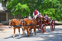 . History buffs enjoy a ride in Colonial Williamsburg, Virginia. Photo courtesy of Dreamstime.com. 