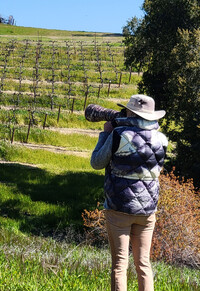A bird-watcher and photographer enjoys a day at Calcareous Vineyards in Paso Robles, California. Photo courtesy of Jim Farber.