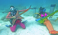 . Mermaids and mermen "play" instruments at the Underwater Music Festival in the Florida Keys. Photo courtesy of Mike Papish.