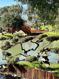  The Jardin Japones, situated near Tres de Febrero Park in Buenos Aires, Argentina, is a great place to relax while in the city. Photo courtesy of Margot Black. 