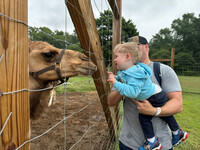  A child meets face to face with a camel at the Barn Hill Preserve in Frankford, Delaware. Photo courtesy of Candyce H. Stapen. 