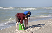  Looking for shells can be one of the most fascinating pastimes at a beach. Photo courtesy of Karen Wunderman/Dreamstime.com. 