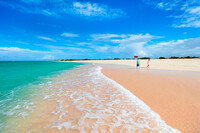 . The pink sand beaches of Barbuda welcome visitors who want to get away from winter's cold. Photo courtesy of Alexander Shalamov/Dreamstime.com.