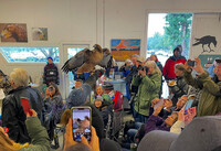 Visitors learn all about Ruby, a red-tailed hawk, at Hawk Watch in Ramona, California. Photo courtesy of Hans Petermann.