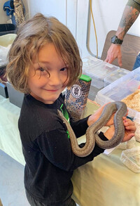 Isaak Williams gets up-close with a native rosy boa at Hawk Watch in Ramona, California. Photo courtesy of Hans Petermann.