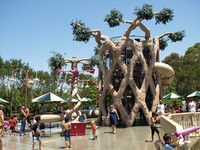  Gilroy Gardens Family Theme Park in Gilroy, California, put the focus on unusual trees, such as this one overlooking the children's water-play area. Photo courtesy of Lora Parks/Dreamstime.com. 