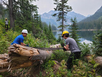  Volunteers from the American Hiking Society help clear vegetation in Bitterroot National Forest, which spans parts of Montana and Idaho. Photo courtesy of Shannon Loehrkell/Dreamstime.com. 