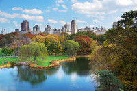  Some visitors to New York City find the relative tranquility of Central Park preferable to the bustle of Times Square. Photo courtesy of Song Quan Deng/Dreamstime.com. 