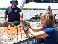  The author enjoys a personal encounter with a stingray during an excursion on a shrimp boat during the American Cruise Line Historic South and Golden Isles Intra-Coastal Waterway Cruise. Photo courtesy of Victor Block. 