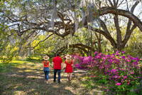  Visitors walk through Magnolia Plantation & Gardens in Charleston, South Carolina. Photo courtesy of Margaret619/Dreamstime.com. 