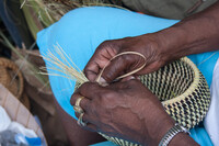  A Gullah woman braids sweetgrass into a basket in Charleston, South Carolina. Photo courtesy of Bddigitalimages/Dreamstime.com. 