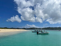  Small boat tours make for excellent snorkeling off Turtle Beach on Buck Island in the U.S. Virgin Islands. Photo courtesy of U.S. Virgin Islands Department of Tourism. 