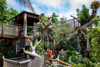  Toni's Tree House at San Diego Botanic Garden in Encinitas, California, provides children the opportunity to climb and play. Photo courtesy of San Diego Botanic Garden. 