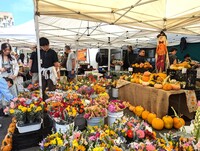 The Little Italy Mercato Farmers Market in San Diego, California, stretches six blocks long, has 190 vendors on Saturdays and welcomes 25,000 visitors each week rain or shine. Photo courtesy of Athena Lucero. 
