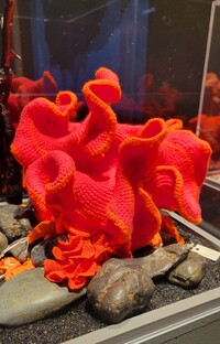 This piece of crochet is part of the Coral Reef Project currently on display at the ArtCenter College of Design in Pasadena, California. Photo courtesy of Jim Farber.