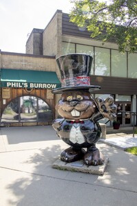  A statue of Punxsutawney Phil welcomes visitors to Punxsutawney, Pennsylvania, where they can observe whether the groundhog sees his shadow. Photo courtesy of Karen Foley/Dreamstime.com. 