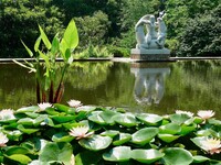  The elegant Brookgreen Gardens in Myrtle Beach, South Carolina, are a National Historic Landmark. Photo courtesy of Visit Myrtle Beach. 