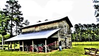  A visitor looks at equipment on the Freewoods Farm in Myrtle Beach, South Carolina, the first farm established by formerly enslaved people after the Civil War. Photo courtesy of Victor Block. 