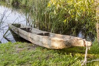  Ancient dugout canoes created by early Indigenous people have been found in Wisconsin. Photo courtesy of Parys/Dreamstime.com. 