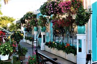  Shops and restaurants in Naples, Florida, exude the city's colorful charm. Photo courtesy of Victor Block. 