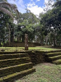 A stela stands at the edge of a plaza at Nim Li Punit ruins in Indian Creek, Belize, where it once shared important news of the day. Photo courtesy of Lesley Frederikson.