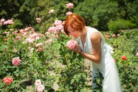 This is the time of year when gardens begin to reach their peak beauty. Photo courtesy of Rozbyshaka/Dreamstime.com.