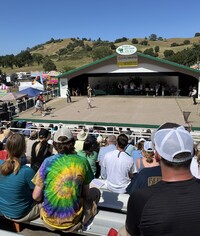A crowd watches the finals of the 2024 Jumping Frog Jubilee in Calaveras County, California. Photo courtesy of Perry Montoya.