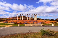  The Capitol Columns at the National Arboretum were once intended to support the dome of the U.S. Capitol Building in Washington, D.C. Photo courtesy of Cvandyke/Dreamstime.com. 