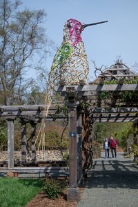  'Anna's Hummingbird' is one of 12 bamboo sculptures by Donna Dodson and Andy Moerlein on display until October at the Sonoma, California, Botanic Garden. Photo courtesy of Daniel Ramon Perales. 