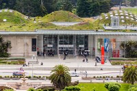  Plants, birds and bees live in harmony atop the California Academy of Sciences in San Francisco. Photo courtesy of Andreistanescu/Dreamstime.com. 
