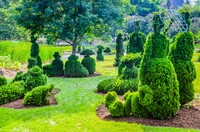  Trees at Topiary Park in Columbus, Ohio, replicate figures from George Seurat's 'A Sunday Afternoon on the Island of La Grande Jatte.' Photo courtesy of Sandra Foyt/Dreamstime.com. 